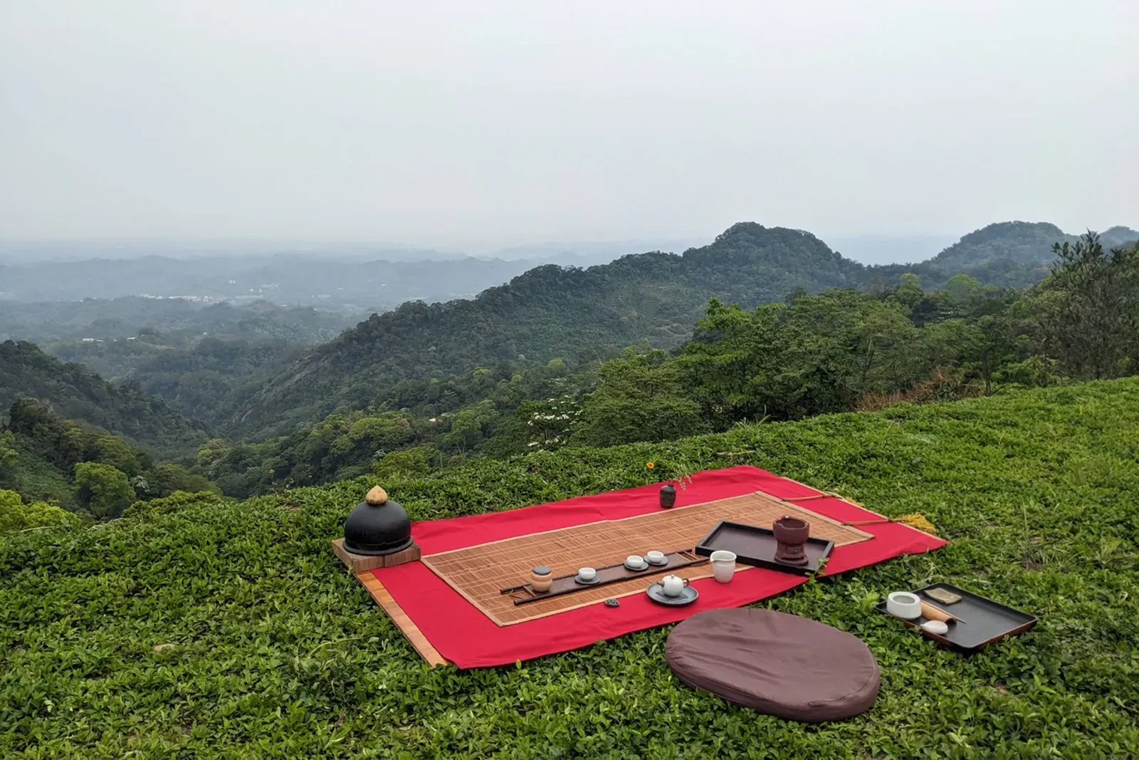 關於養茶